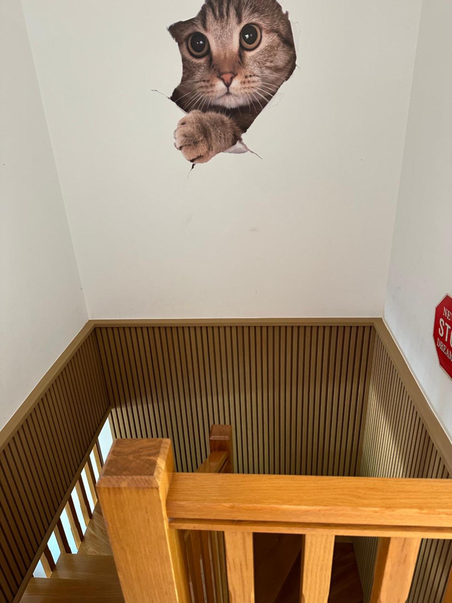 Pilgrim'S House Apartman O Pedrouzo Kültér fotó
